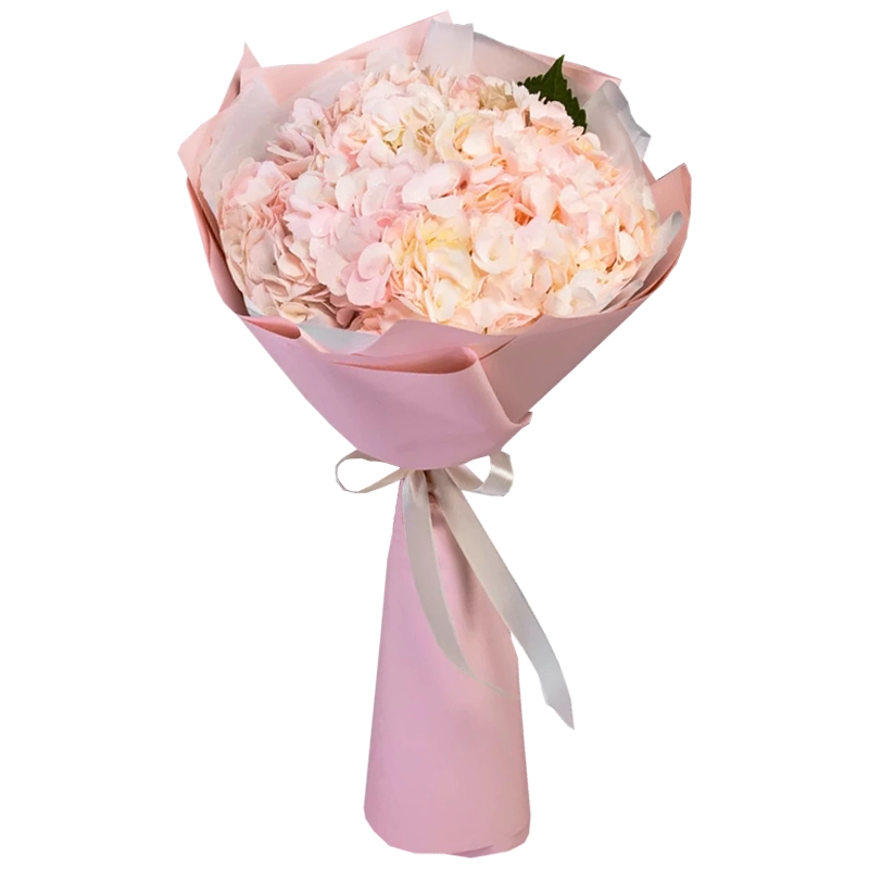 Букет из 3 нежно розовых гортензий