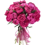 Пионы темно розовые